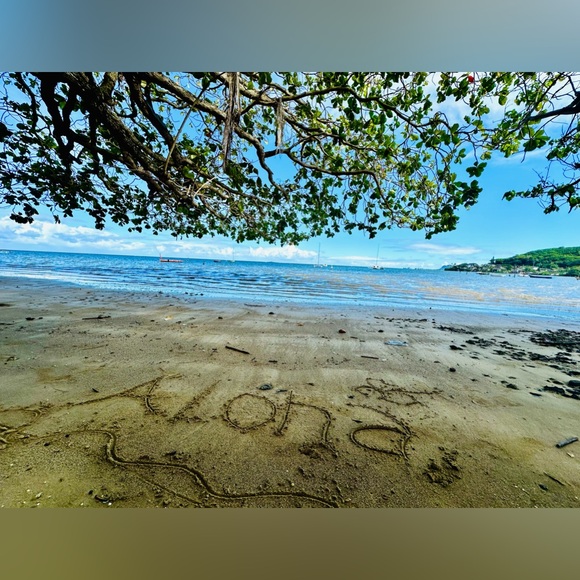 ❤️LIVE SHOW NOTIFICATION LISITING❤️ - Picture 5 of 7